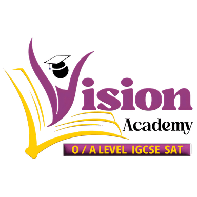 Vision Academy logo